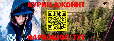 сатива Обь