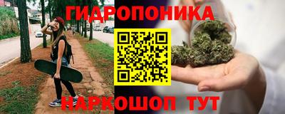 сатива Обь