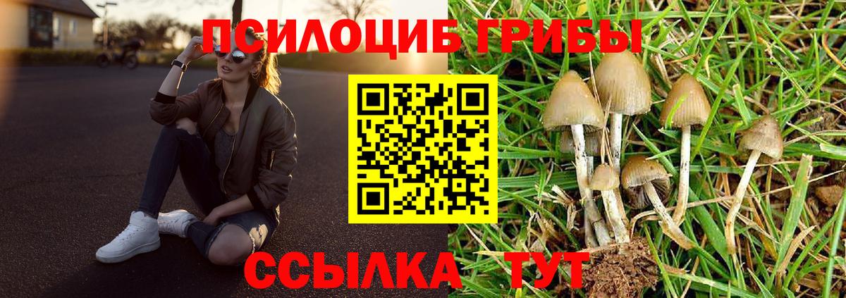 Галлюциногенные грибы мухоморы Тамбов
