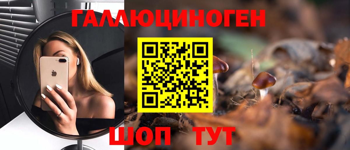 Псилоцибиновые грибы MAGIC MUSHROOMS  Псилоцибиновые грибы Magic Shrooms  Вход с VPN  цена   Тамбов 